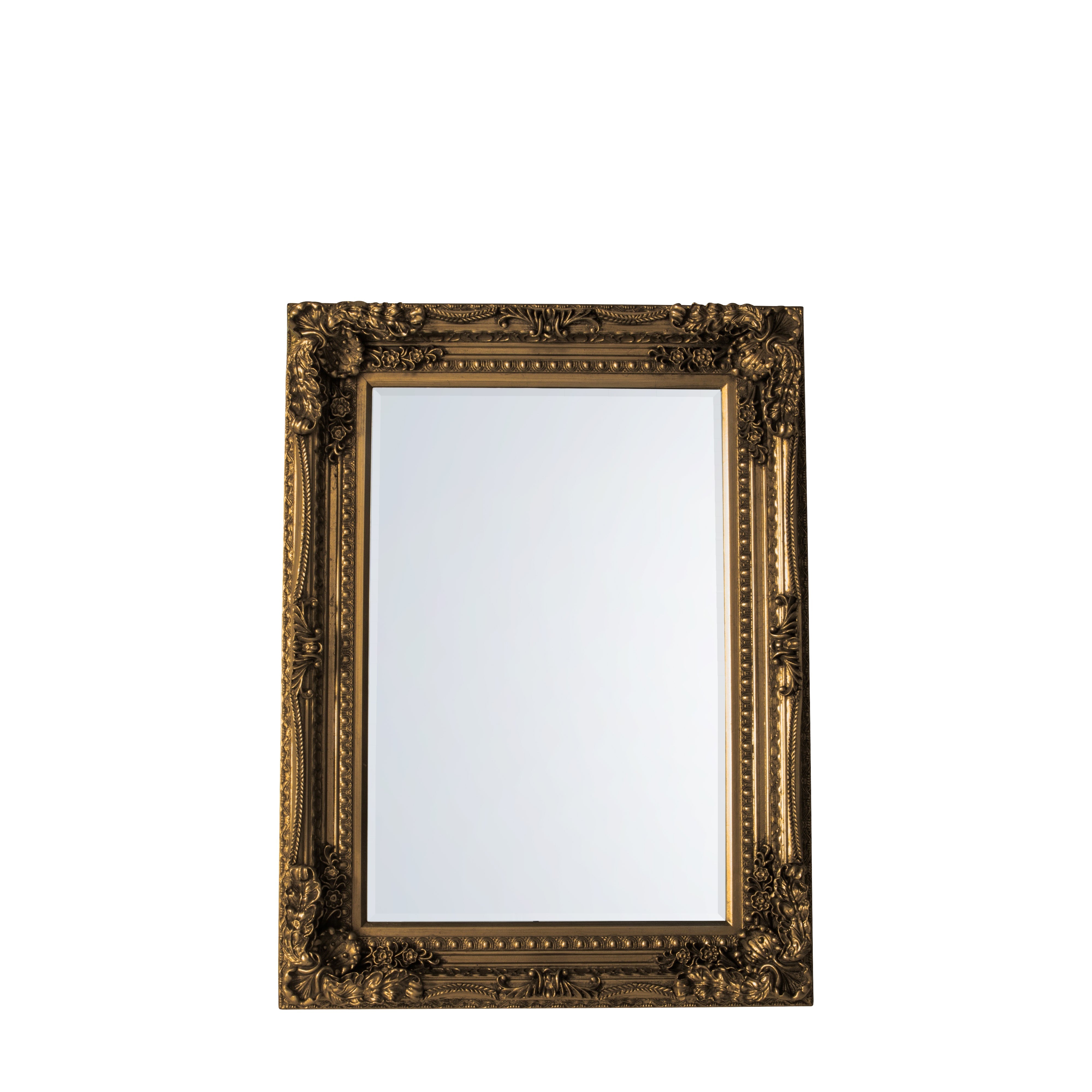 Amos Gold leaf medium rectangle mirror