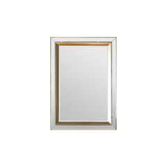 Amos Brushed gold bevelled medium rectangle mirror